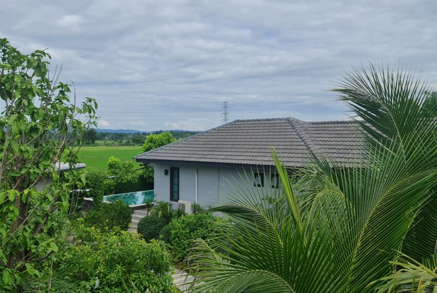 Gardenview (11)