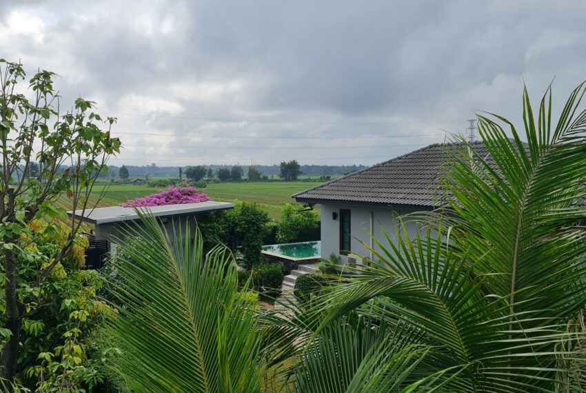 Gardenview (9)