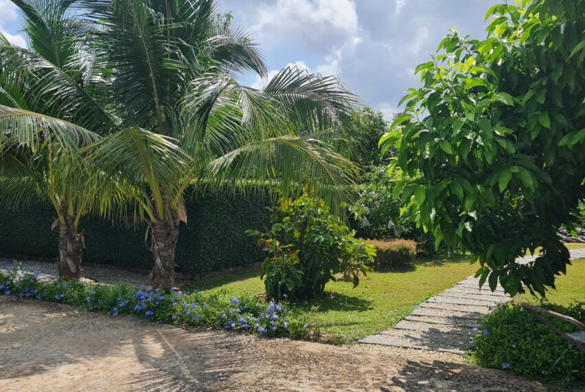 gardenview (1)